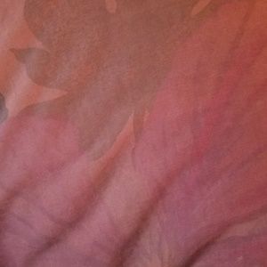 Meet your Posher, Diondra